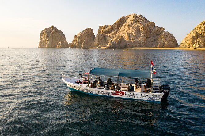 2 Dives in the Cabo Marine Park - Safety and pacing: what the guides do right