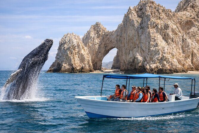 2-Hour Shore Excursion | Arch, Lover’s Beach & Whale Encounters - Key highlights worth your attention