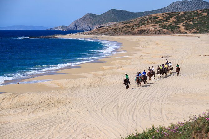 2 Hours Horseback Riding Adventure in Cabo - Tequila tasting, tacos, and beer: what’s included vs. extra