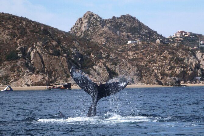 2-Tank Scuba in Marine Reserve and Corridor for Certified Divers - What to expect from the physical side of the tour