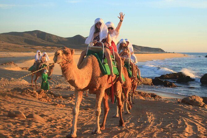 2x1 Tour: Cabo San Lucas Arch + Camels Ride + Pick up! - Lunch in Los Cabos: Mexican Buffet at Casa Típica