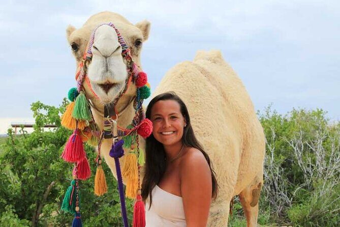 2x1 Tour: Cabo San Lucas Arch + Camels Ride + Pick up! - Price and Value: How $55 Adds Up (Plus the Fees)
