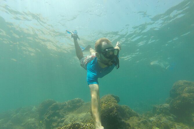 4-Hour Snorkeling Tour in Cabo San Lucas and Corridor - The Arch of Cabo San Lucas stop: photos, sea lions, and a quick breather
