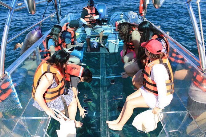 45 Minute Transparent Boat Ride to the Arch of Cabo San Lucas - Stop 2: Pelican Rock underwater life from below