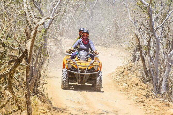 Adventure in Los Cabos Margaritas beach in ATV/UTV desert tour - Who This Los Cabos ATV/UTV Tour Is Best For