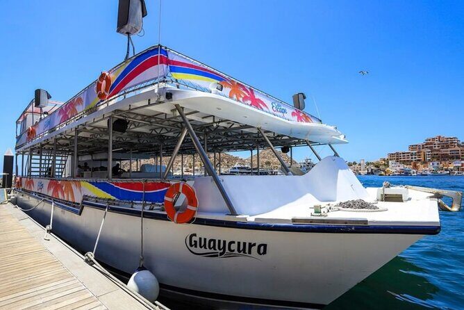 Amazing Cabo and Snorkel Adventure - Where you board near Breathless Hotel El Medano