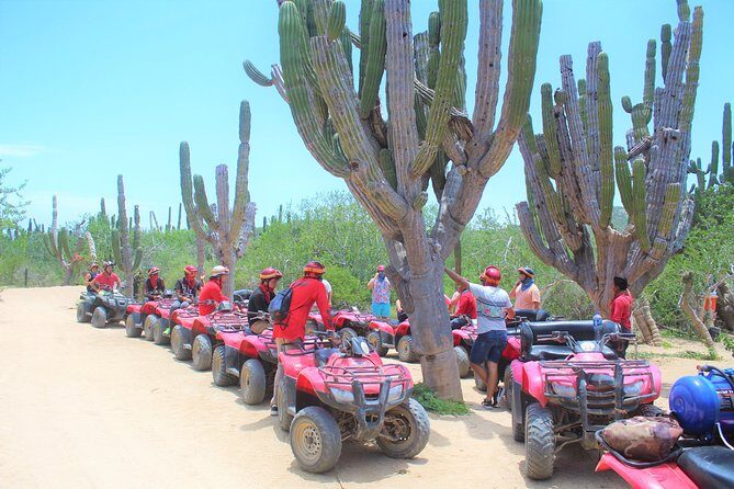 ATV Desert & Beach ride over the mountains and through Migrino beach! - Quick highlights you’ll feel right away