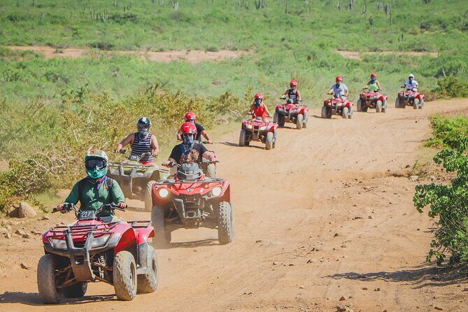 ATV Single in Cabo San Lucas /2 Hours/ migriño beach and desert - Guide Energy: The Difference Between Fun and Chaos