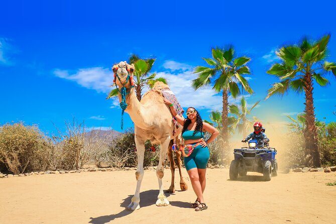 ATV Tour, Camel Ride, Tequila Tasting and Mexican Buffet Lunch - Key things to know before you go