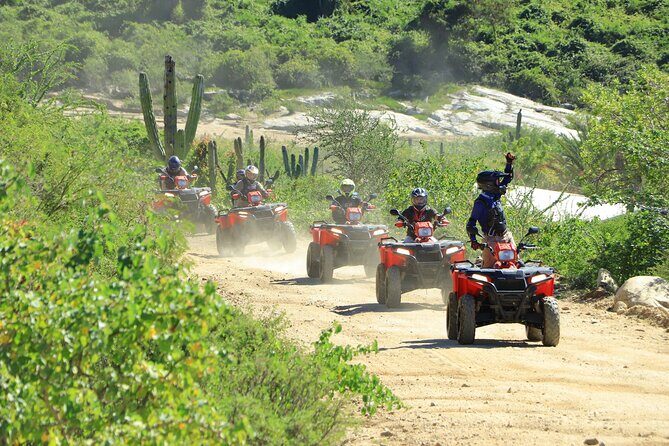 ATV Tour, Camel Ride, Tequila Tasting and Mexican Buffet Lunch - ATV and Camel in Cabo: why this combo works