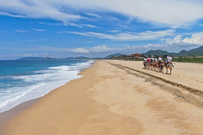 ATV Tour, Camel Ride, Tequila Tasting and Mexican Buffet Lunch - Price and logistics: what $104.30 really buys