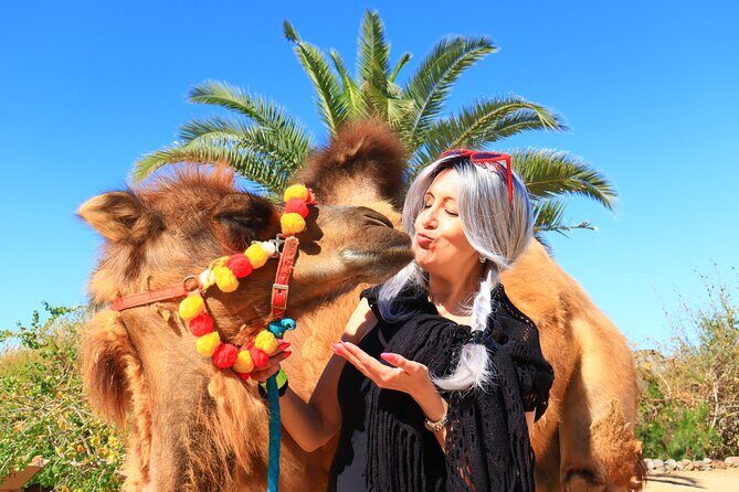 ATV Tour, Camel Ride, Tequila Tasting and Mexican Buffet Lunch - Group size, fitness, and safety rules you can’t ignore