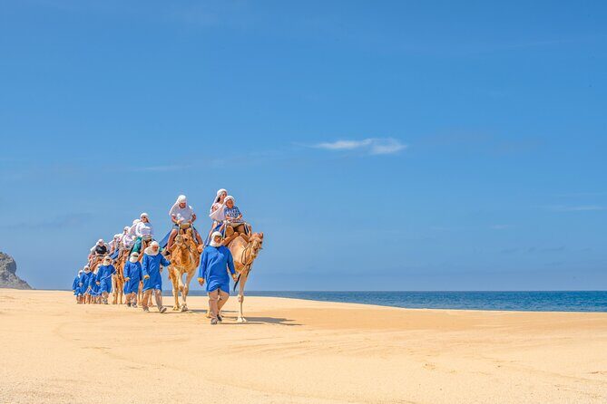 ATV Tour, Camel Ride, Tequila Tasting and Mexican Buffet Lunch - Photos, phone rules, and the cost of “capturing memories”