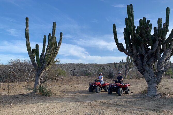 ATV Tour: San Jose del Cabo Hidden Beaches & Desert Trail - Comfort, Practical Tips, and Photo-Ready Reality