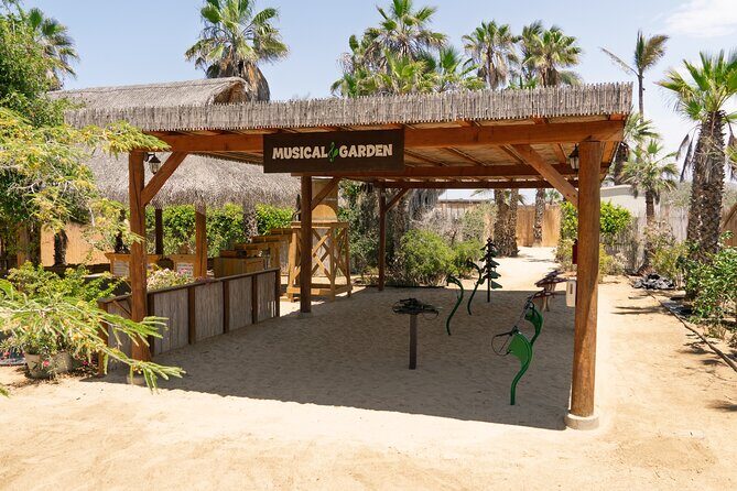 ATVs, UTVs, and Camel Ride in All Access Adventure Park and Beach - ATV time on cactus-lined trails: where the thrill starts
