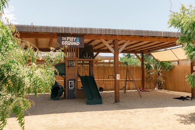 ATVs, UTVs, and Camel Ride in All Access Adventure Park and Beach - UTV desert driving: sturdier power, tougher terrain