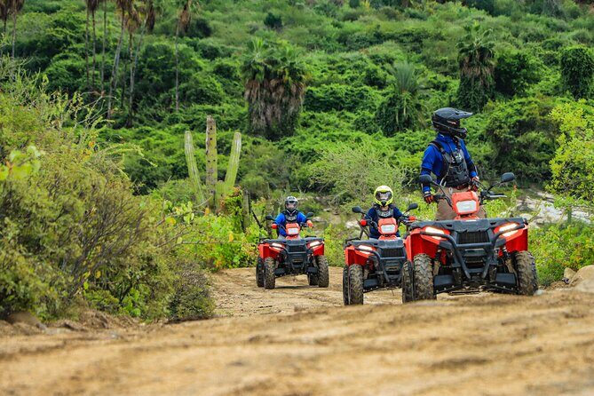 ATVs, UTVs, and Camel Ride in All Access Adventure Park and Beach - The beach club reset: buffet, open bar, and pool time