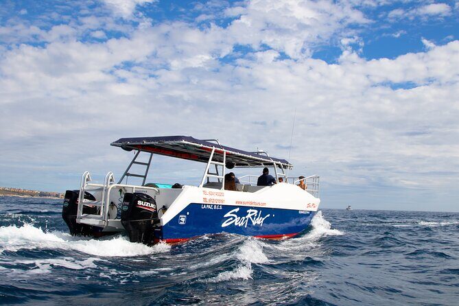 Bay Trip and the Arch of Cabo San Lucas - Drinks Included: Beer Rules, No-Snack Setup, and What to Expect