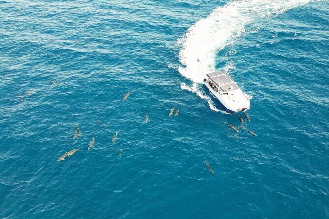 Bay Trip and the Arch of Cabo San Lucas - Price and Value: The $50 Ticket Plus the Dock Access Fee