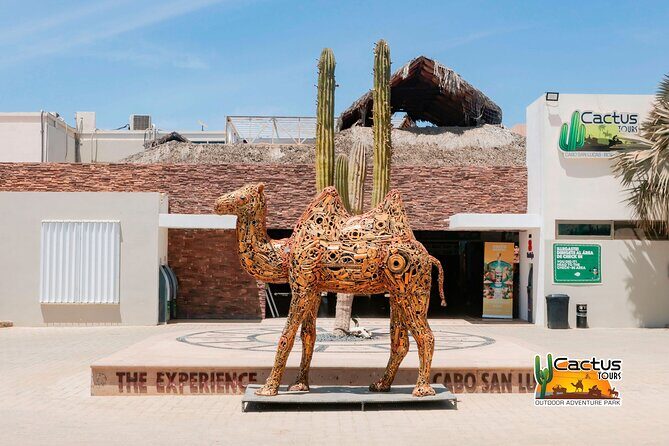 Beach and Desert Mini Razor Tour in Cabo - Money and value: the real cost of this tour isn’t just $82.50
