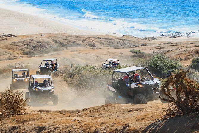 Beach and Desert UTV Tour in Cabo - Cactus Tours stop: facility energy, herpentarium curiosity, and the $25 fee