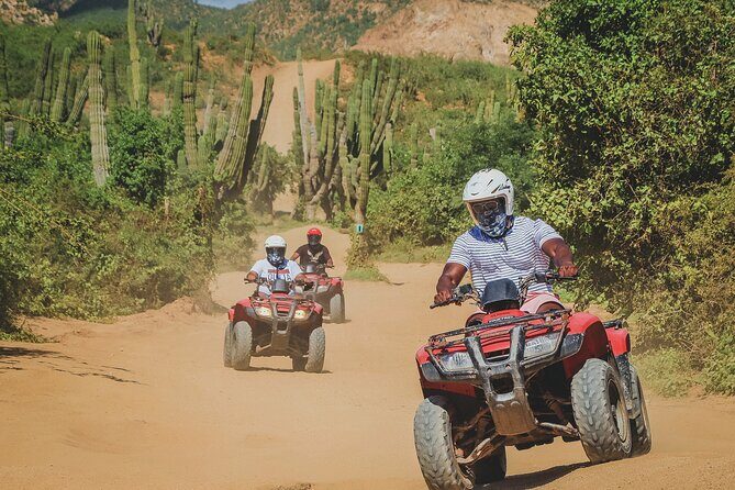 Beach ATV Adventure, Free Horseback Ride, and Sky Bike Experience - Horseback on Playa Migrino: Slow, Steady, Scenic