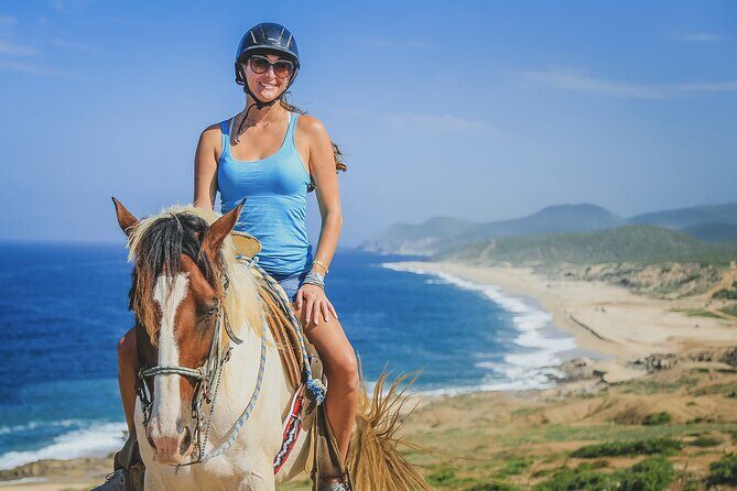 Beach ATV Adventure, Free Horseback Ride, and Sky Bike Experience - The $25 Park Fee Reality (And Why It Matters)