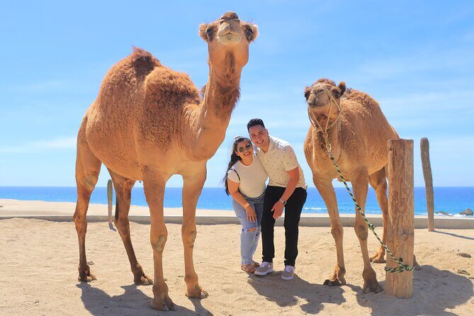 Beach, ATV, and Camel Ride Combo Tour - Why this ATV and camel combo feels different in Cabo