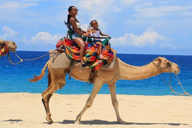 Beach, ATV, and Camel Ride Combo Tour - Pickup, check-in, and how to avoid the most common frustration