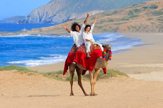 Beach, ATV, and Camel Ride Combo Tour - Your ATV hour on the dunes: what you’re really signing up for
