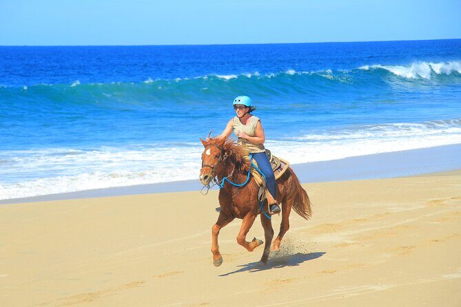Beach ATV and Horseback Ride Combo Tour in Cabo - The mandatory $25 park fee: the part most people forget