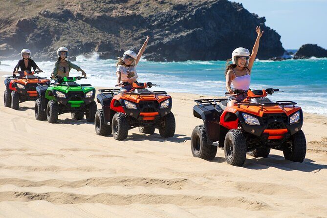 Beach ATV, Free Camel Ride, and Sky Bike Combo - Winter whale odds and the wildlife angle: plan for nature, not guarantees