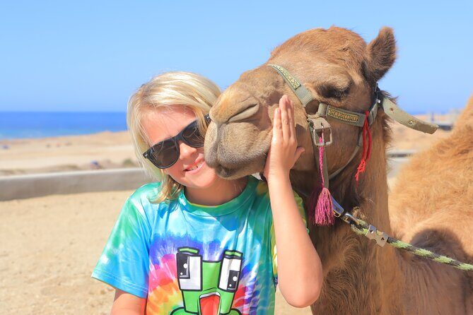 Beach Camel Ride and Encounter in Cabo - Key things to know before you go