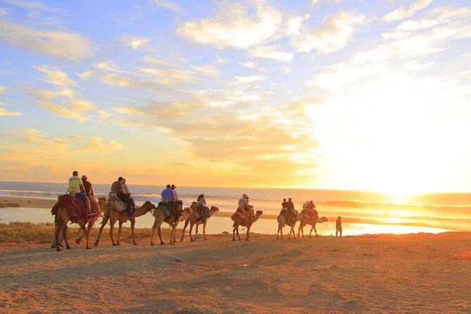 Beach Camel Ride and Encounter in Cabo - Transportation and Timing: Why the 1-Hour Tour Can Stretch