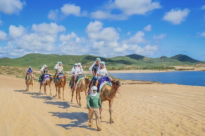 Beach Camel Ride and Encounter in Cabo - Price Breakdown: $71.25 and the Fees That Can Add Up