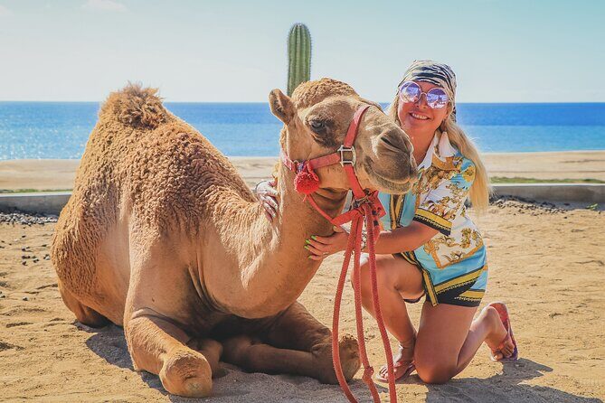 Beach Camel Ride and Encounter in Cabo - Guide Impact: The Staff Names You’ll Keep Hearing