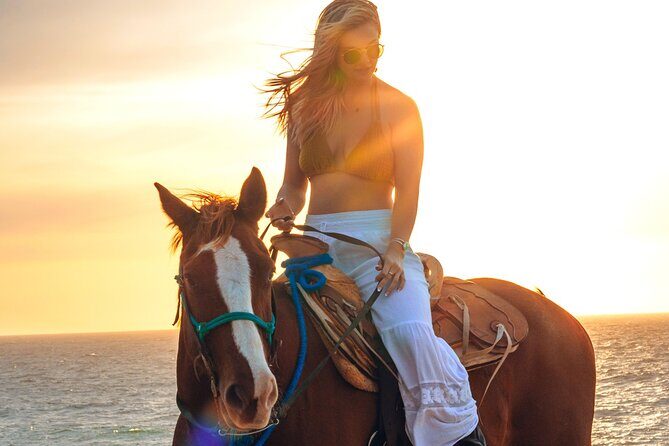 Beach Camel Ride and Sky Bike in Cabo - What the Day Is Like: who this tour suits best