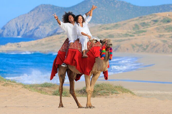 Beach CAN-AM SXS X3 and Camel Ride in Cabo - Who this tour suits best (and who might not love it)