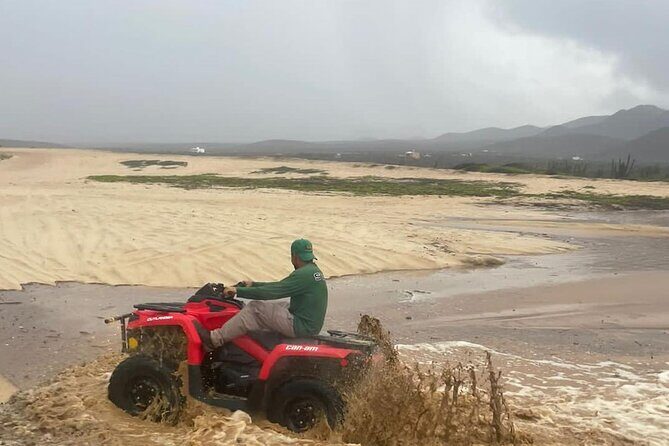 Beach & Dunes Atv Adventure !! - Canyon passes and planned whale-spotting rest stops