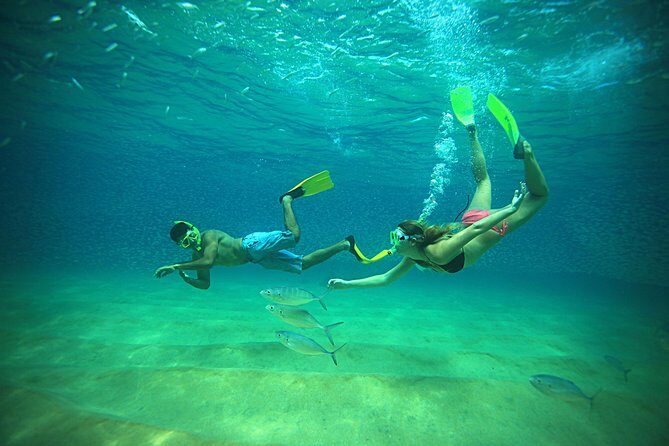 Beach Hopper Small-Group Snorkeling Tour in Los Cabos - The Zodiac Ride and Land’s End Sights You Can Actually See