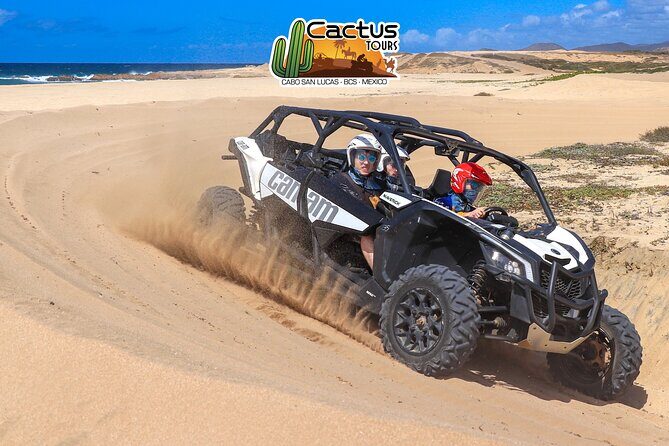 Beach UTV Adventure with Free Camel and Horseback Ride - Why This Cabo Combo Tour Works in 3 Hours