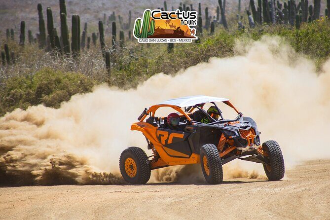 Beach UTV and Camel Ride Combo in Cabo - Stops, photo moments, and sea-cliff viewpoints