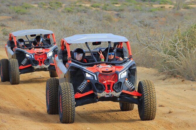 Beach UTV and Camel Ride Combo in Cabo - Who should book this Cabo UTV and camel combo