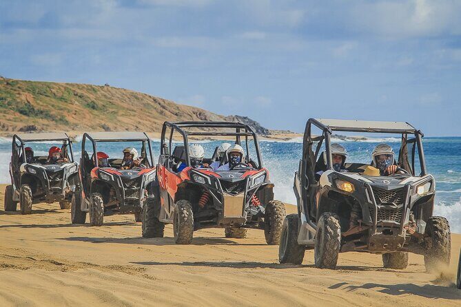 Beach UTV and Sky Bike Combo in Cabo - Horses at the sand: what to expect and where expectations can clash