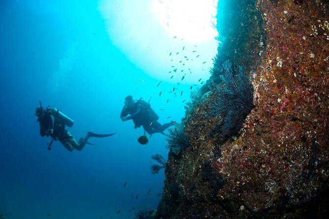 Beginner Scuba Diving in Cabo San Lucas - Cabo San Lucas beginner scuba: why this is a good first try