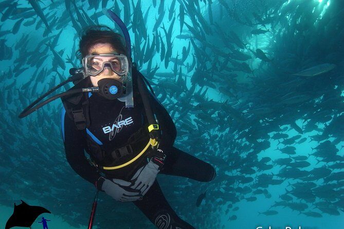 Beginner Scuba Diving in Cabo San Lucas - Stop 1 at the shop: training logistics that save time