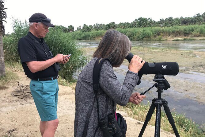 Birding San Jose Estuary Los Cabos Mexico - Key things I’d zero in on