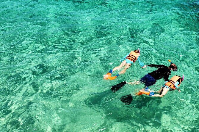 Boat ride to the Arch and Snorkel - The Cabo Landmarks Part: Arch Views Plus Real Photo Stops