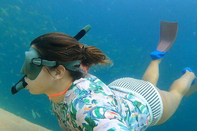 Boat ride to the Arch and Snorkel - Snorkeling at Pelican Rock: What You’ll Actually See