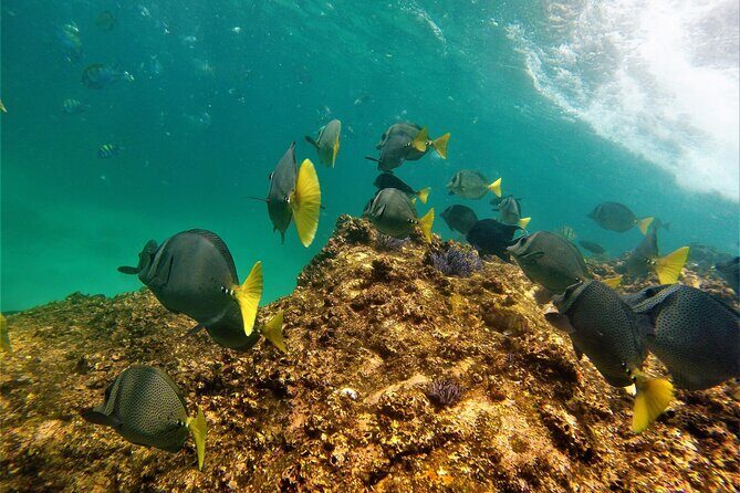 Boat ride to the Arch and Snorkel - Gear, Crew, and the Small-Group Advantage